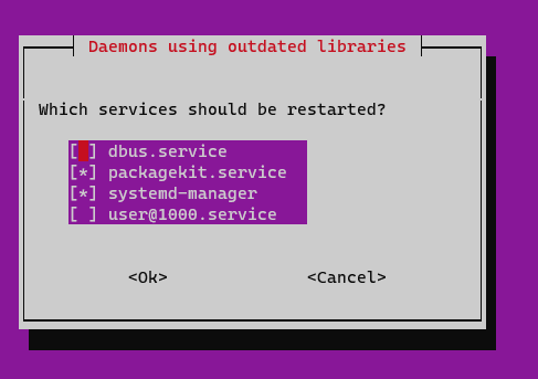 Daemons using outdated Libraries